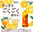 Tasty World! |フェリーチェ ごくごくオレンジ 500ml 24本セット