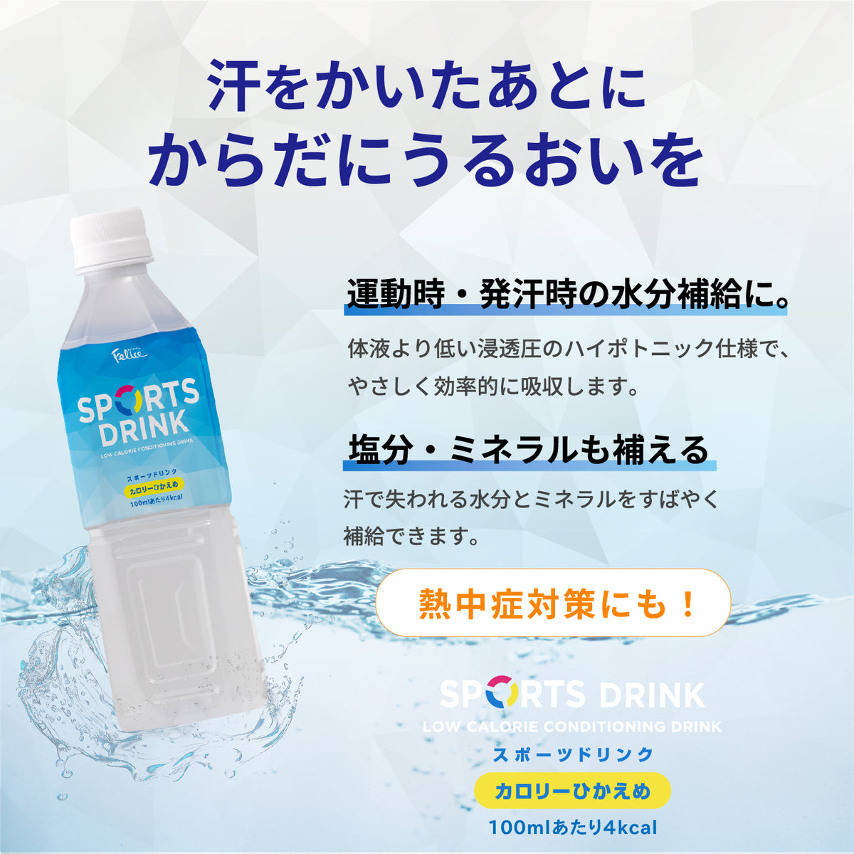 フェリーチェ スポーツドリンク 500ml 24本セット | Tasty World!