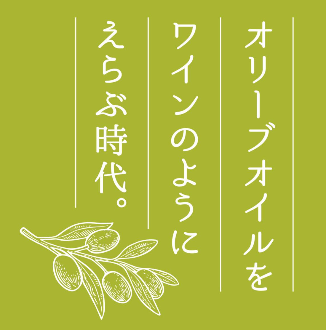 ギフトセット】ガルシア オーガニック エクストラバージン オリーブ