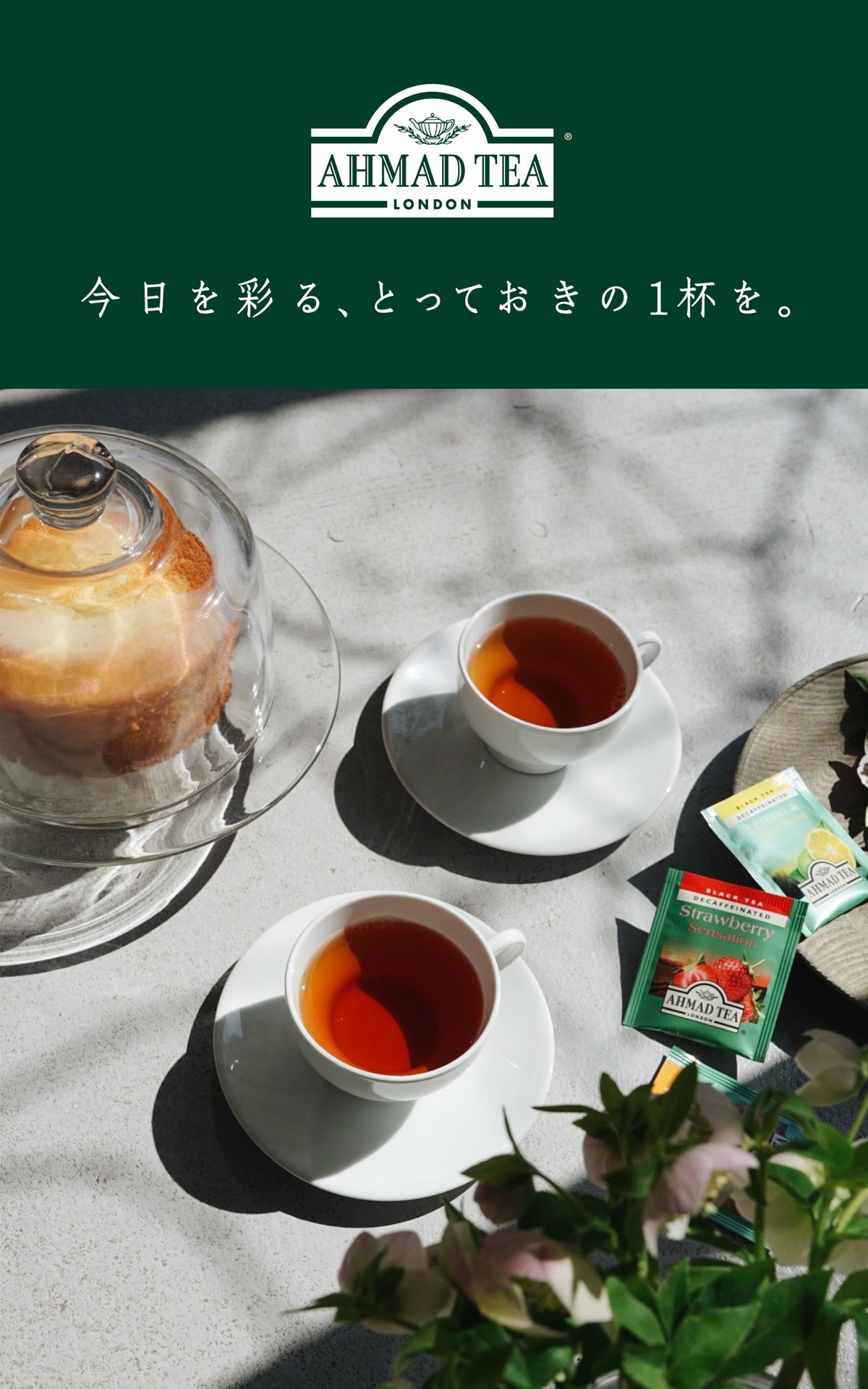 Amazon | Ahmad Tea (アーマッドティー) ザ・ベスト