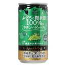 Tasty World! | 神戸居留地 ぶどうと微炭酸100％のやさしいジュース 185ml 20缶セット