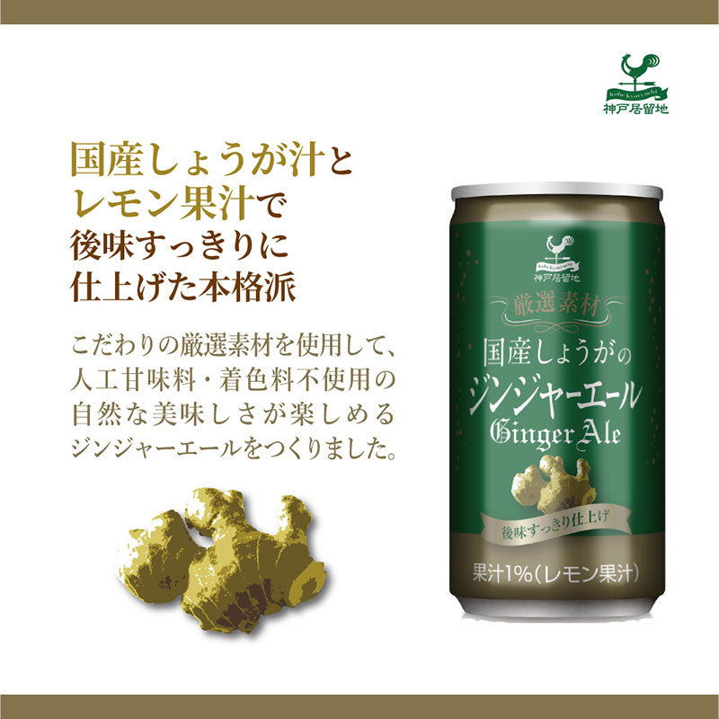 Tasty World! |神戸居留地 厳選素材 国産しょうがのジンジャーエール 185ml 20缶セット
