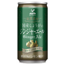 Tasty World! |神戸居留地 厳選素材 国産しょうがのジンジャーエール 185ml 20缶セット
