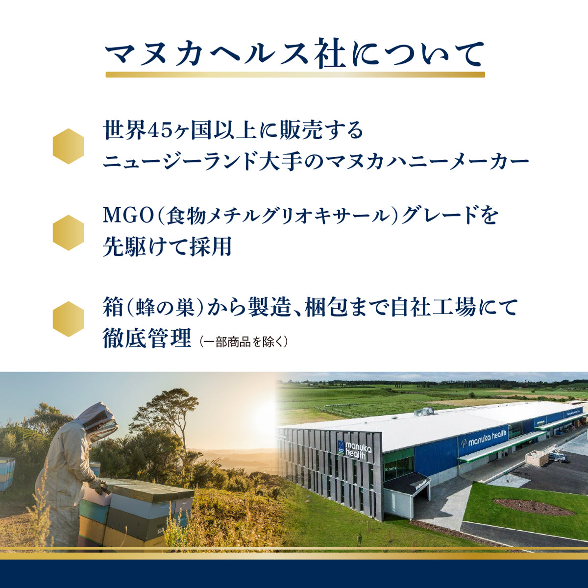 定期コース】マヌカハニー MGO400+/UMF13+ | Tasty world!